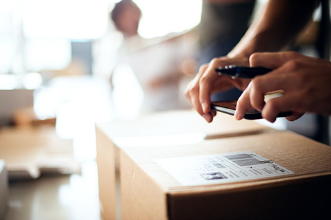 importing and exporting